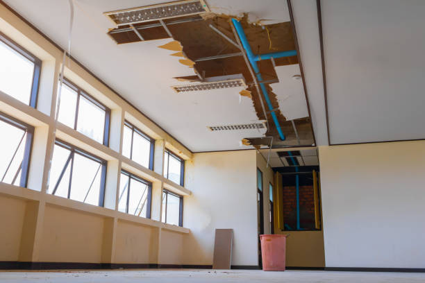 Best Fire Damage Restoration  in Mono Vista, CA