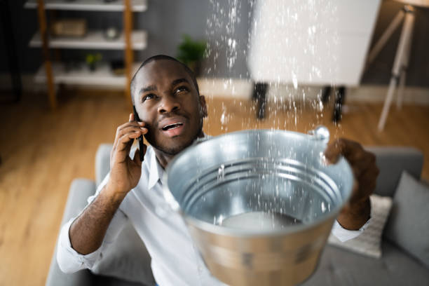Best Professional water damage repair  in Mono Vista, CA