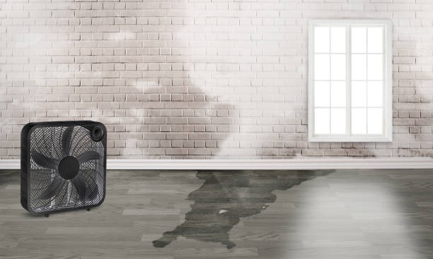 Water damage restoration experts in Mono Vista, CA