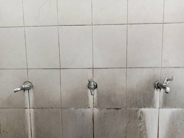 Best Commercial water damage restoration  in Mono Vista, CA