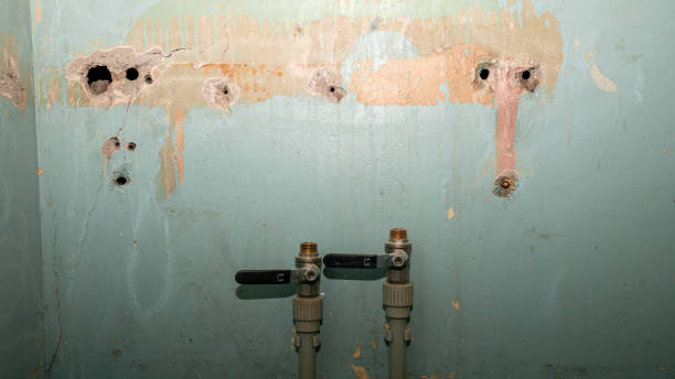 Trusted Mono Vista, CA Water damage restoration Experts