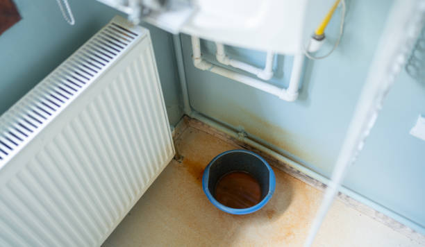 Best Carpet water damage restoration  in Mono Vista, CA