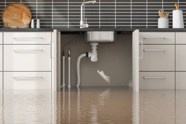 Best Flood damage cleanup  in Mono Vista, CA