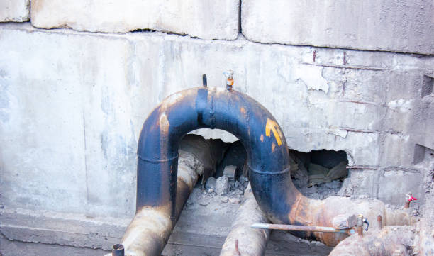 Best Professional water damage repair  in Mono Vista, CA