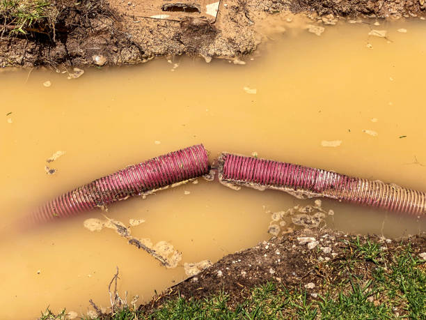 Best Local water damage restoration  in Mono Vista, CA