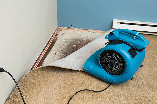 Best 24-hour water damage restoration  in Mono Vista, CA